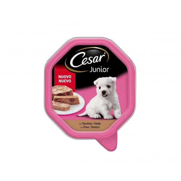 ALIMENTO CESAR JUNIOR TARRINA 150 GRS.