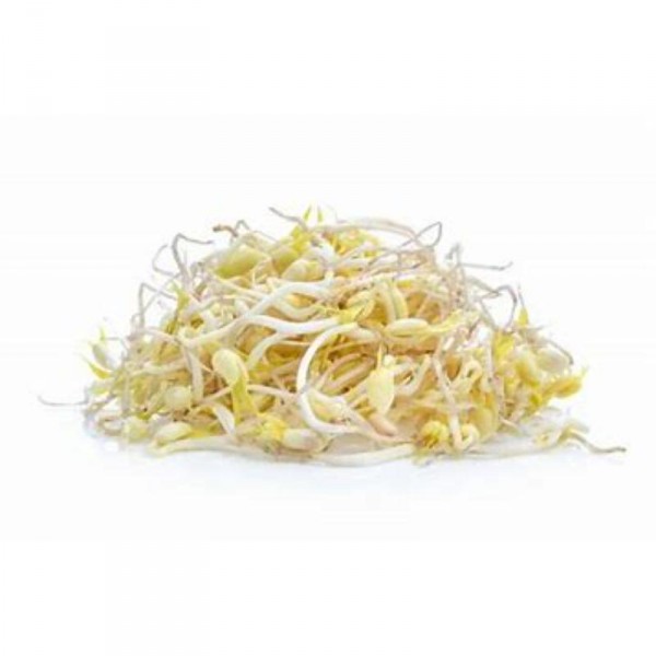 BROTES DE SOJA 110 GRS.