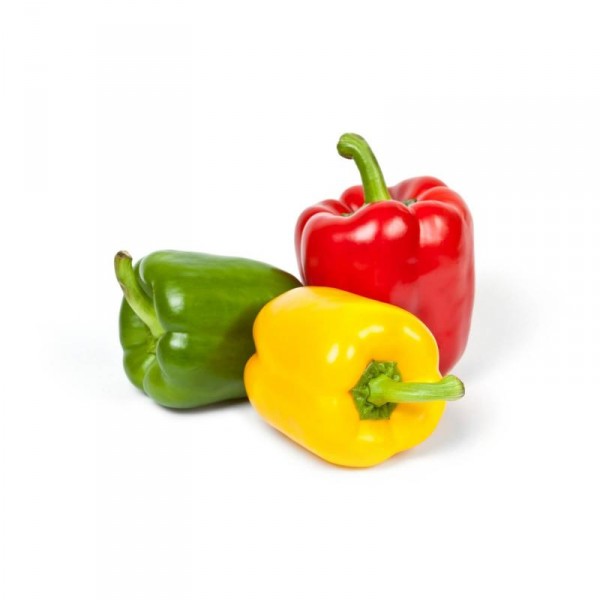 PIMIENTO TRICOLOR 500 GRS