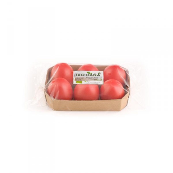 TOMATE ECOLOGICO BANDEJA 500 GRS
