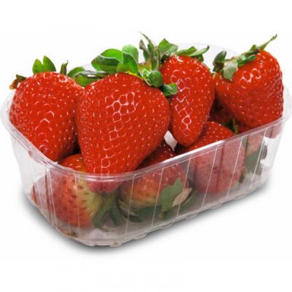 FRESA BANDEJA 500 GRS.