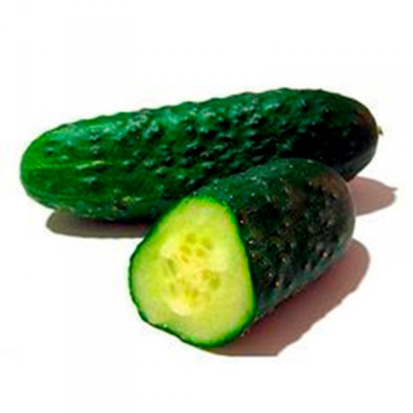 PEPINO CORTO, KILO