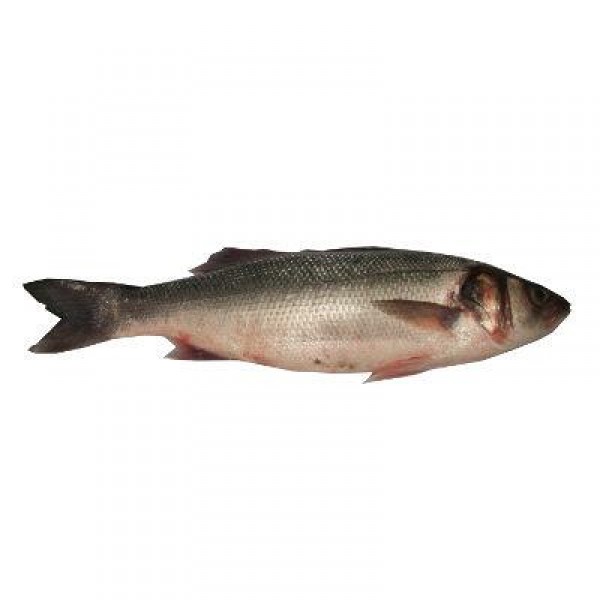 LUBINA CRIANZA 800-1000 GR./PZA, KILO