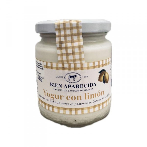 YOGUR BIEN APARECIDA CON LIMON 250 GRS
