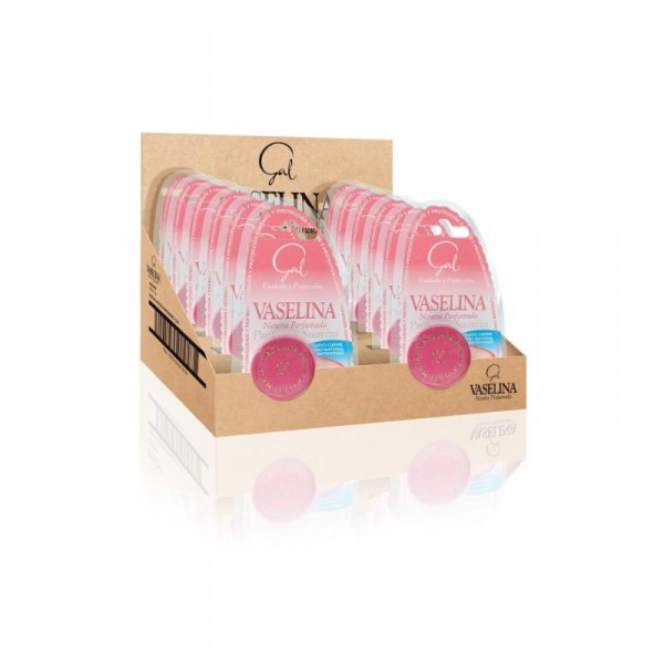 VASELINA NEUTRA BLISTER 13 ML.