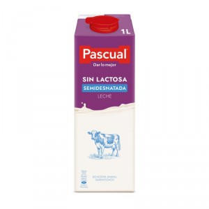 LECHE PASCUAL SEMIDESN.SIN LACTOSA BRIK LITRO