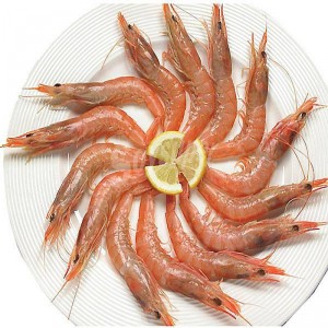 GAMBA ARROCERA, KILO