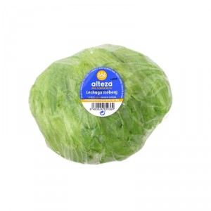 LECHUGA ALTEZA ICEBERG, UNIDAD