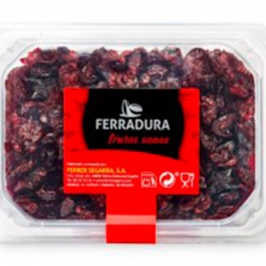 TARRINA ARANDANOS 200 GRS