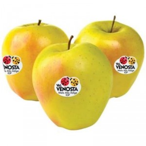 MANZANA GOLDEN PREMIUM,KILO