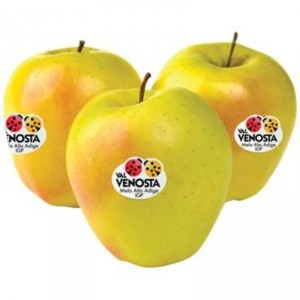 MANZANA GOLDEN PREMIUM, KILO