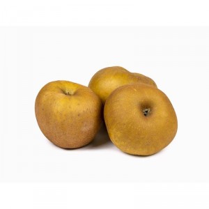 MANZANA REINETA GRIS, KILO