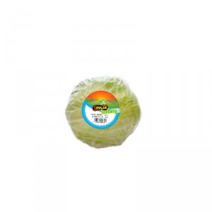 LECHUGA EL DULZE ICEBERG CALIBRE 10, UND
