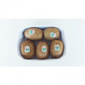 KIWI ZESPRI BANDEJA 500 GRS APROX