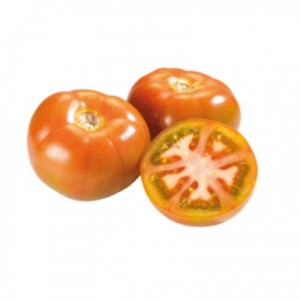 TOMATE DE ENSALADA CAT.1ª, KILO