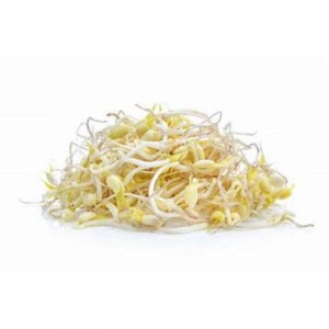 BROTES DE SOJA 110 GRS.
