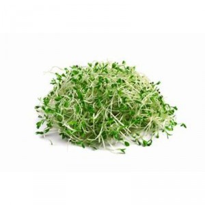 BROTES DE ALFALFA 70 GRS.