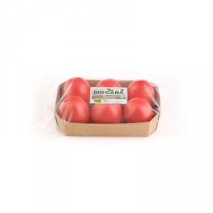 TOMATE ECOLOGICO BANDEJA 500 GRS