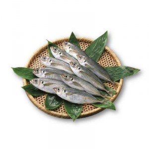 CHINCHO DEL CANTABRICO 18-25 PZAS/KG.,KILO