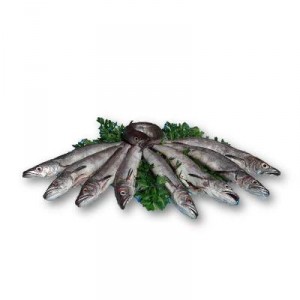 PESCADILLA DEL CANTABRICO 300-500 GRS/PAZ.,KG.
