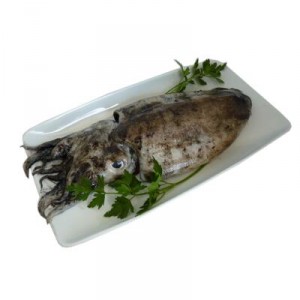 SEPIA FRESCA CACHON DE +500 GRS/PZ, KG