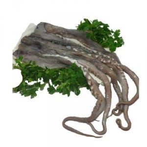 REJO DE POTA, KG.
