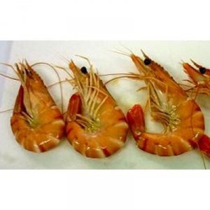 LANGOSTINO SALVAJE CRUDO 20-30 PZ/KG, KILO