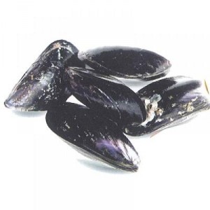 MEJILLON GIGANTE 25/30 EXTRA, KG.