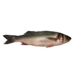 LUBINA CRIANZA 1-1,8 KG/PZA, KILO