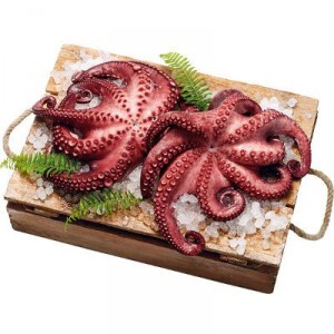 PULPO COCIDO DE 1,5-3 KILOS/PIEZA, KILO