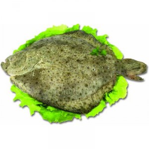 RODABALLO EXTRA DE 1 A 2,5 KG/PZA, KILO