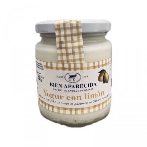 YOGUR BIEN APARECIDA CON LIMON 250 GRS