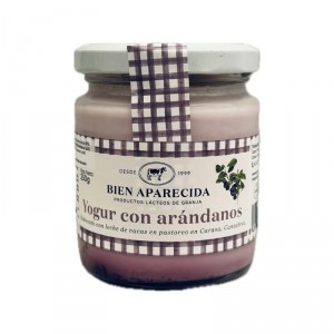 YOGUR BIEN APARECIDA CON ARANDANOS 250 GRS