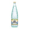 AGUA VICHY CATALAN CON GAS 1 LITRO