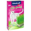 VITAKRAFT HIERBA PARA GATOS 120 GRS