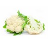 COLIFLOR, UND