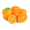 KUMQUAT, KILO