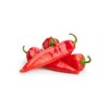 PIMIENTO DE FREIR ROJO MALLA 500 GRS