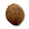 COCOS, UND