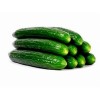 PEPINO HOLANDES, UNIDAD