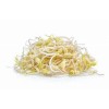 BROTES DE SOJA 110 GRS.