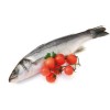 LUBINA CRIANZA 300-400 GRS/PIEZA UND.