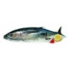 BONITO DEL NORTE ENTERO +8 KG/PZA,KG.