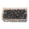 BIGARO-CARACOLILLO GRANDE 170/200 PZ-KG,KILO