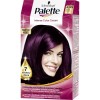 TINTE PALETTE INTENSIVE CREME COLOR 4.99 VIOLIN