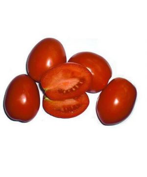 Tomate De Pera, Kilo