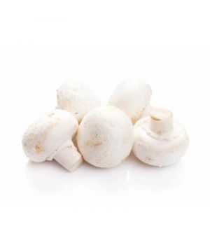 Champiñon Granel, Kilo