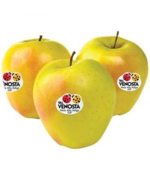 Manzana Golden Valvenosta, Kilo