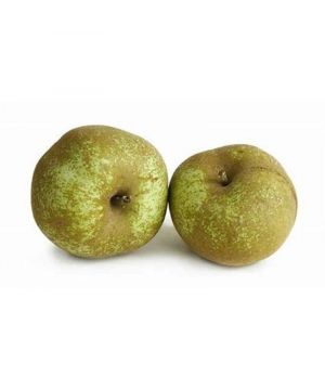Manzana Reineta Verde, Kilo