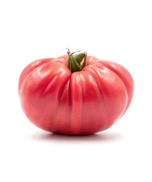 Tomate Asurcado, Kilo